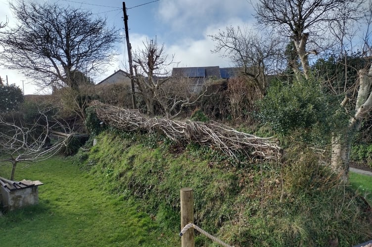 How the bank looks now - winter 2025-26