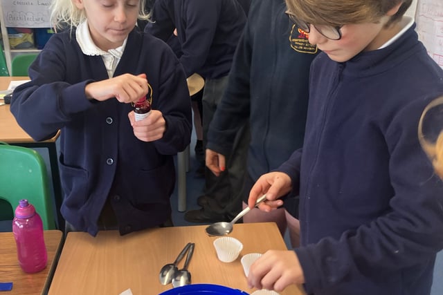 Harbertonford Primary School's British Science Week inspires pupils