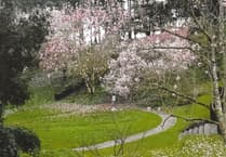 Dartington Hall Gardens open free to members