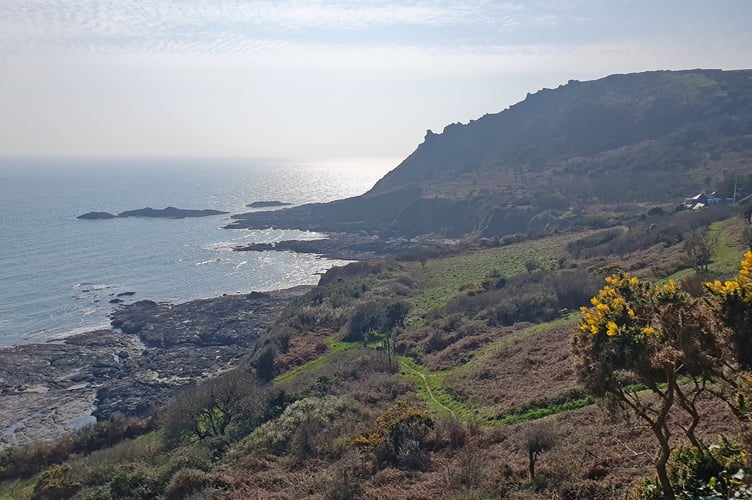 View to Woodcombe Point by Alice Henderson