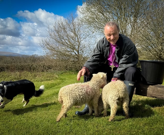 Signs of new life after death all around us, says Bishop of Exeter

