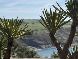 Explore Salcombe's Overbeck's Garden:  tours, walks and stunning views