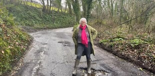 Devon councillor urges communities to help fix pothole pandemic