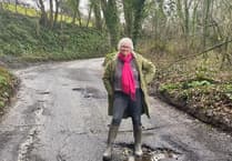 Devon councillor urges communities to help fix pothole pandemic