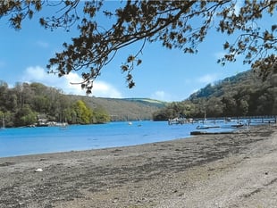 Environment Agency rates South Hams beaches: best and worst revealed