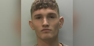 Ferocious attacker jailed for 11 years