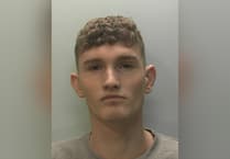 Ferocious attacker jailed for 11 years