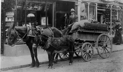 Photographs from Kingsbridge Cookworthy Museum