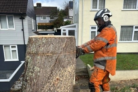 C & H Tree Surgery