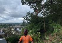 Skill, experience and strong relationships with C&H Tree Surgery