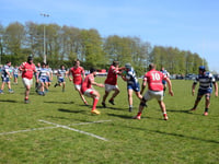 Crabs claim the Five Handled Cup