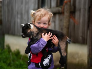 New pygmy goat ‘Pygnasium’ announced for Devon County Show