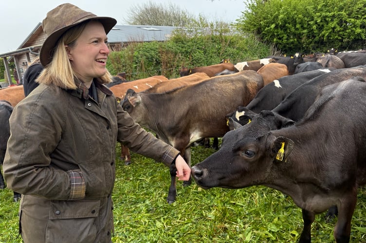 Rebecca Smith MP meets the cows