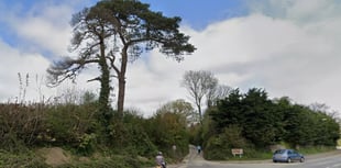 Plans approved for Buckfastleigh homes