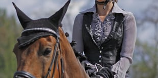 Devon & Cornwall Police seek horse-riding volunteers for rural patrols