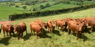 Historic farms looks to modern future