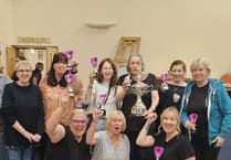 Totnes B claim county bowling title