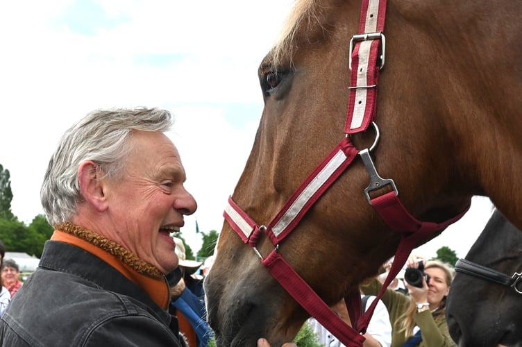 Devon County Show. Actor Martin Clunes opens the heavy horse feature at the show