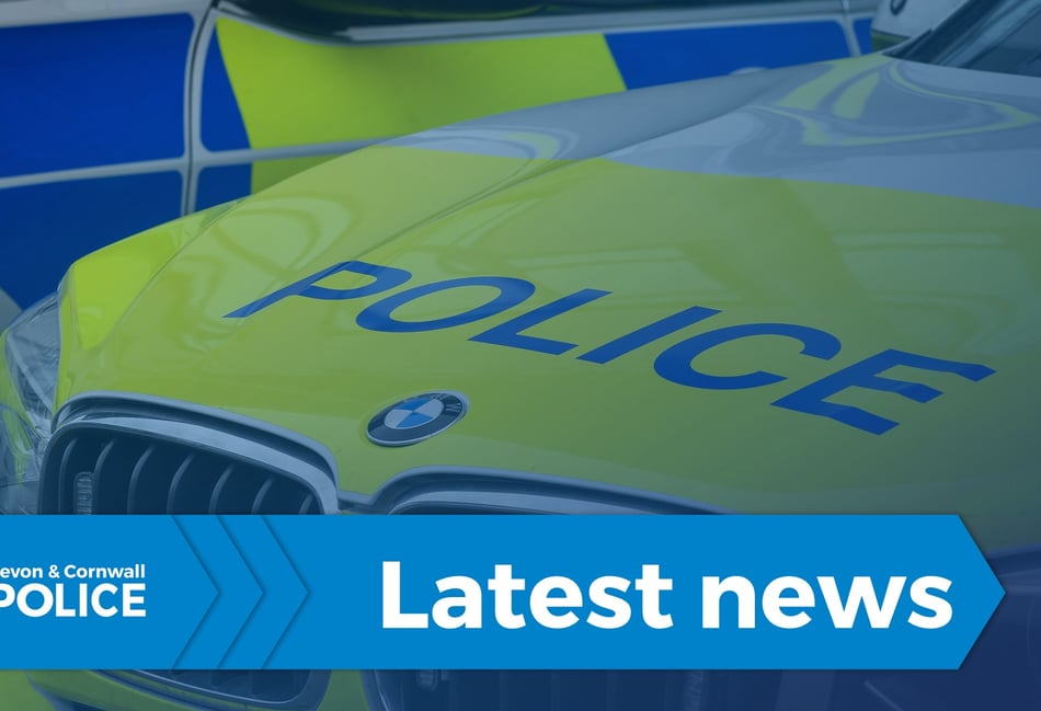Witnesses sought after assault outside Plympton Academy