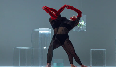 Harbour House brings dance duo Ekleido to Kingsbridge Fair Week