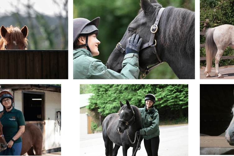 Mare and Foal Sanctuary