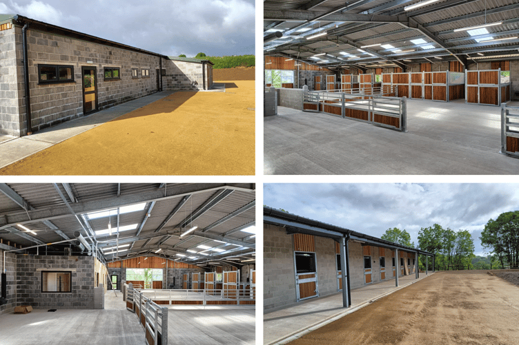 Mare and Foal Sanctuary