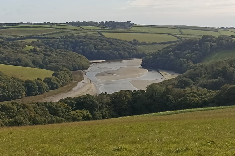 Avon Estuary - shallow sandy bed