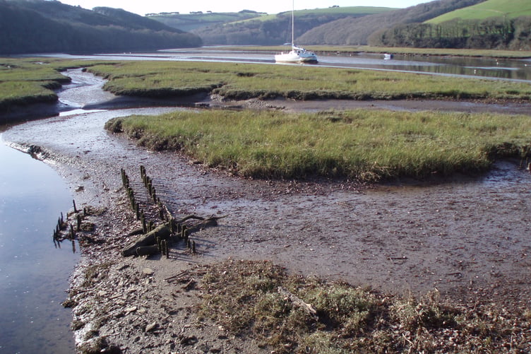 Avon Estuary - saltmarsh & mudflats