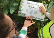 Nursery pupils discover nature's wonders
