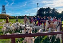 Ivybridge Young Farmers discover hunt secrets