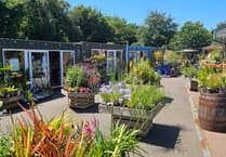 Refresh your home and garden with these local businesses
