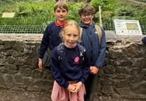 West Alvington's Dartmoor Zoo day