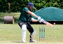 Cornwood 1st XI go down fighting against Sandford