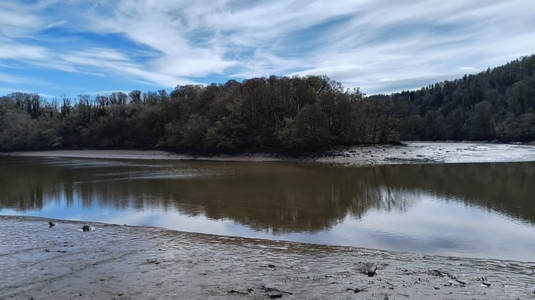 Ham Point Woodland Ph: The Sharpham Trust