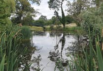 A rewilding adventure in Lincolnshire