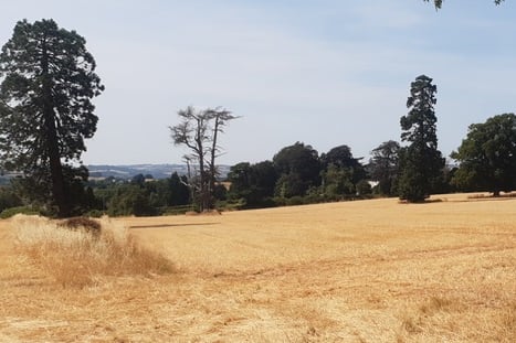 Somerset has been declared officially in drought along with six other areas in England.