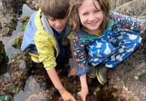 Devon Trust pays tribute to Bill Oddie's love of rock pools