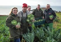Enjoy local produce with South Hams businesses