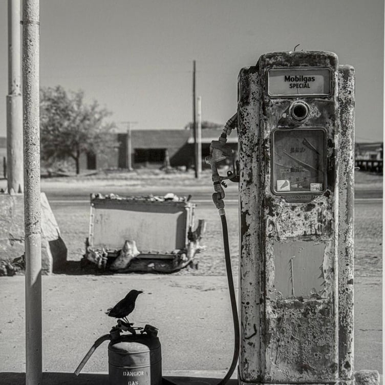 Matt Velarde, Crow with Gas Pump, Route 66, 2026