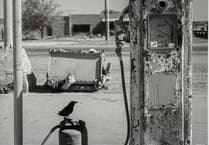 Explore Velarde Gallery's intimate art exhibition