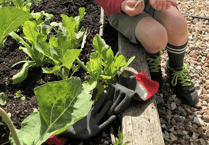 Blackawton Primary recognised for gardening efforts