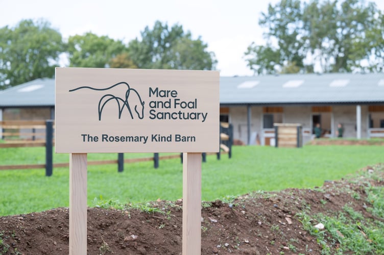 Mare and Foal Sanctuary's  Rosemary Kind Barn