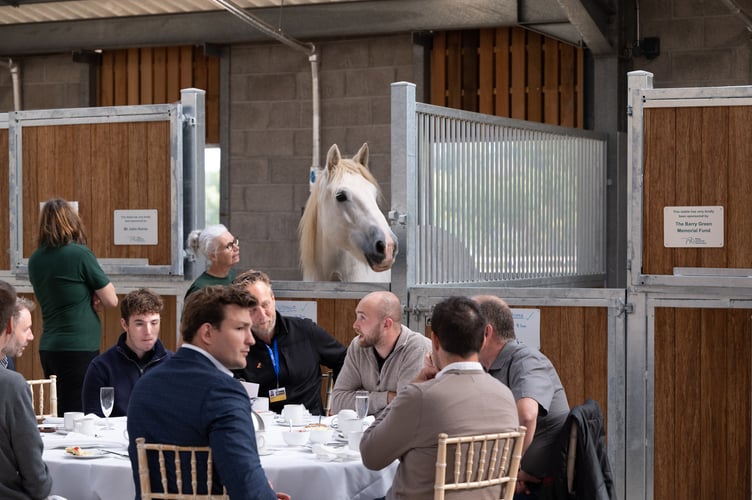 Mare and Foal Sanctuary Rosemary Kind Barn.Four-legged residents were also in  attendance at the opening of the Rosemary Kind Barn