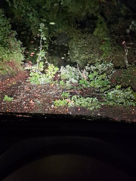 High winds brought this tree down on the Tavistock side of Greystoke Bridge on the road to Launceston last night.