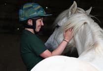 Totnes horse charity's inspiring impact on one woman's life